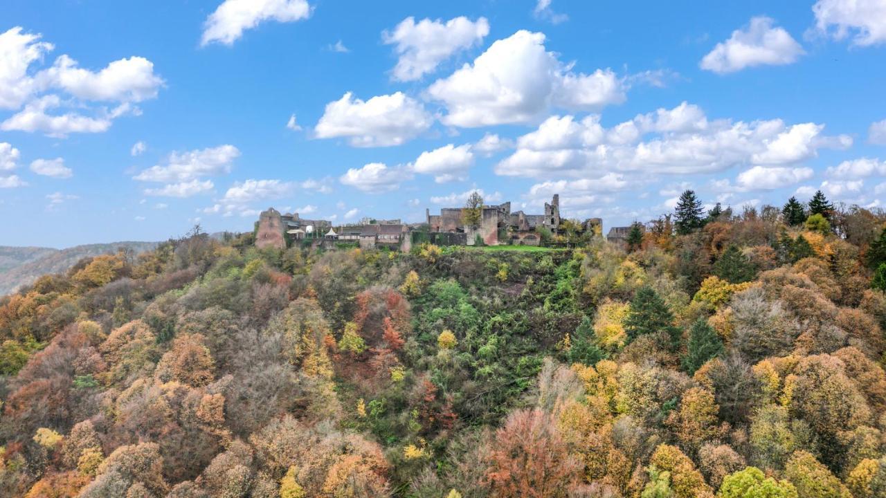 Winetime - Fuer 3 - Naehe Madenburg - Burg Landeck Apartment Eschbach  Bagian luar foto